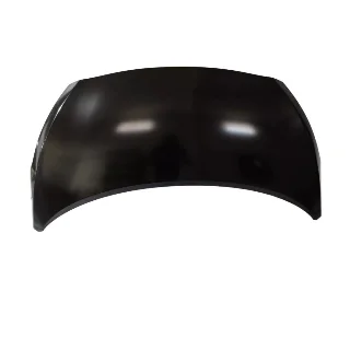 CAPOT GI10